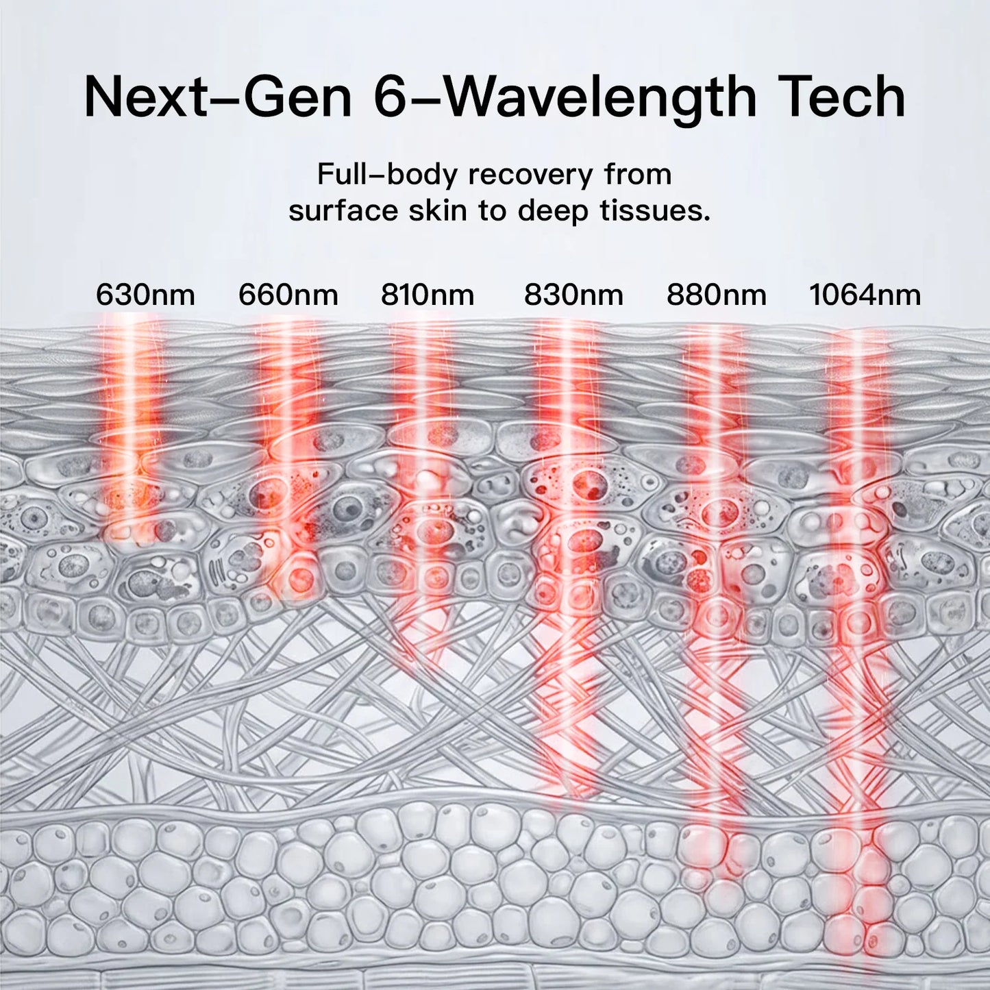 Red and Near-Infrared Light Therapy Bag Pro